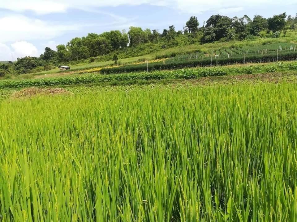 Hotel Shwe Nann Htike Pyin U Lwin Zewnętrze zdjęcie