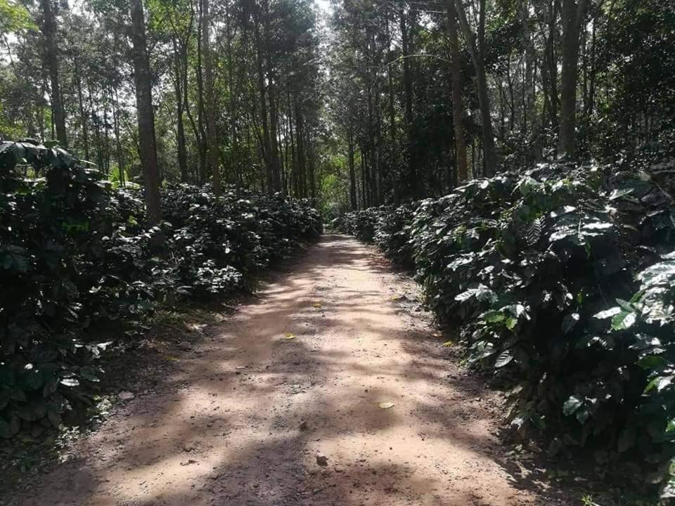 Hotel Shwe Nann Htike Pyin U Lwin Zewnętrze zdjęcie