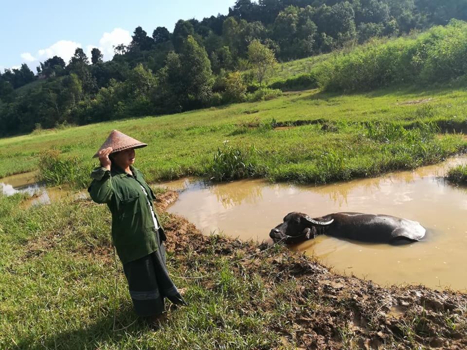 Hotel Shwe Nann Htike Pyin U Lwin Zewnętrze zdjęcie
