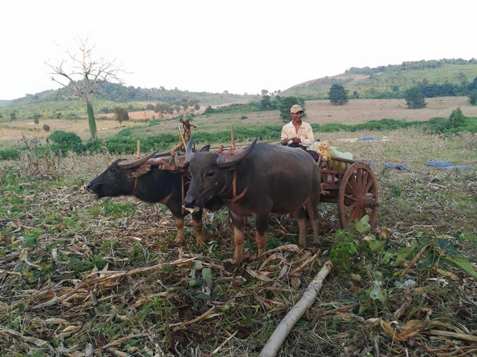 Hotel Shwe Nann Htike Pyin U Lwin Zewnętrze zdjęcie